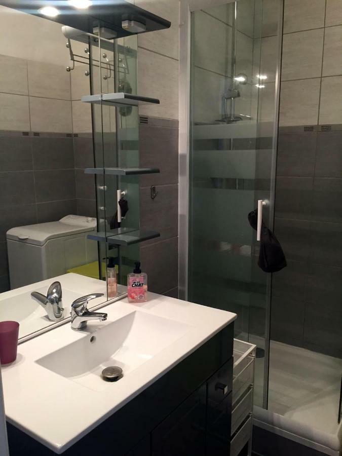 Appartement De Charme Au Calme Castelnau-le-Lez Eksteriør billede